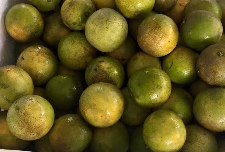 Mot thang buon cam chi gai cong so lai 100 trieu