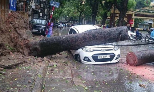 Ha Noi gay do hon 500 cay xanh do anh huong cua con bao so 1