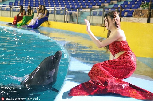 “Có lẽ con gái tôi sẽ trở thành một nàng tiên cá tuyệt vời trong tương lai. Và tôi sẽ khuyến khích con tôi trở thành Nàng tiên cá bé nhỏ dù trong công việc hay đời sống riêng”. - Zhang Ruifen chia sẻ.