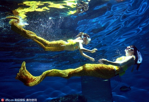 Rất nhiều cô gái đều có mơ ước một lần trong đời trở thành Nàng tiên cá bé nhỏ sau khi đọc câu chuyện cổ tích cảm động của nhà văn Đan Mạch Hans Christian Andersen. Thực tế, đây là điều không thể xảy ra nhưng nhờ những đầu óc kinh doanh nhạy bén, mơ ước này của các cô gái có thể thành sự thực ở một góc độ nào đó.