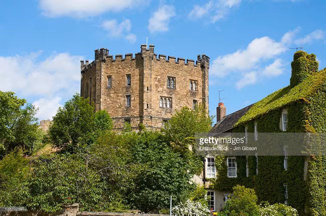 Trường bao gồm nhiều khoa trung tâm, các trường nhỏ hơn và 16 trường đại học trực thuộc.