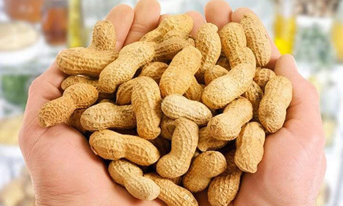 Thu qua dong que giam nguy co dot quy ung thu