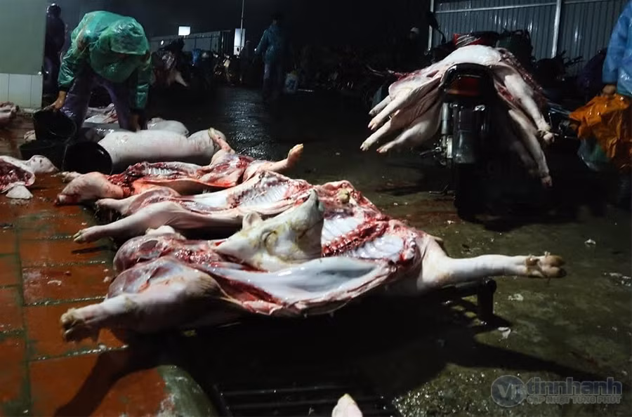 Vệ sinh an toàn thực phẩm trong giết mổ gia súc tại các cơ sở tư nhân luôn bị coi nhẹ.