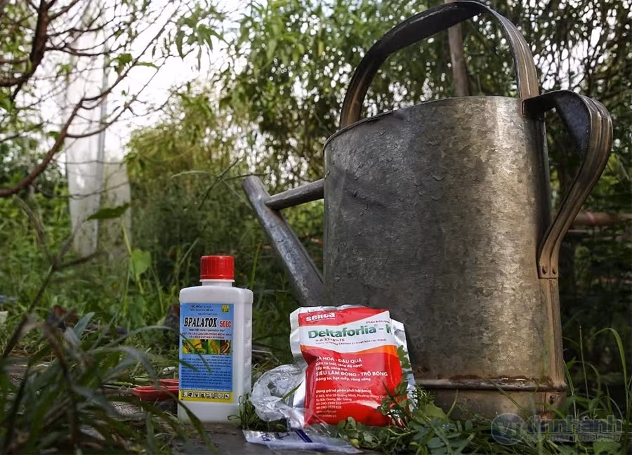 Để tăng năng suất thu hoạch cây trồng, không biết có đến bao nhiêu loại hóa chất được áp dụng dưới mọi hình thức.