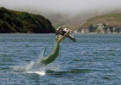 Chuyen ly ky kho tin ve quai vat ho Nix o Anh