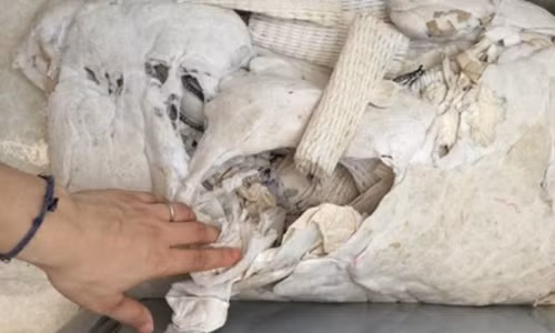 Ta hoa khi mo ruot goi ra giat thay toan rac ban