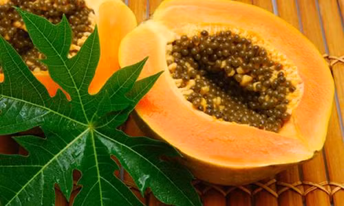 Vi sao nha chat cung nen trong ngay cay du du?