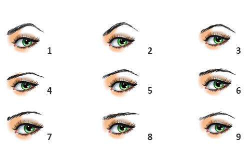 Boi chuan tinh cach qua hinh dang long may