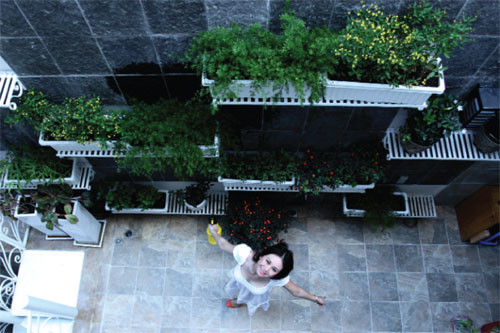 Góc vườn nhỏ xinh được thiết kế vườn treo tường để tận dụng tối đa diện tích.