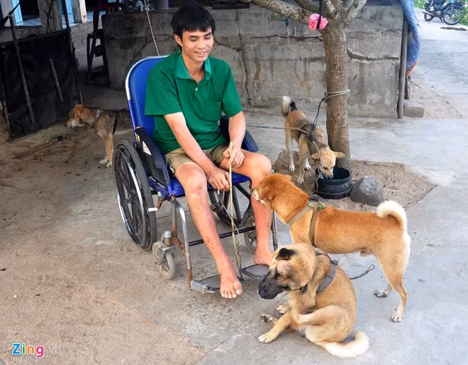 Anh nhờ cha mẹ tìm xin hai chú chó của người dân trên đảo Lý Sơn, huấn luyện kéo xe lăn giúp mình đi lại.