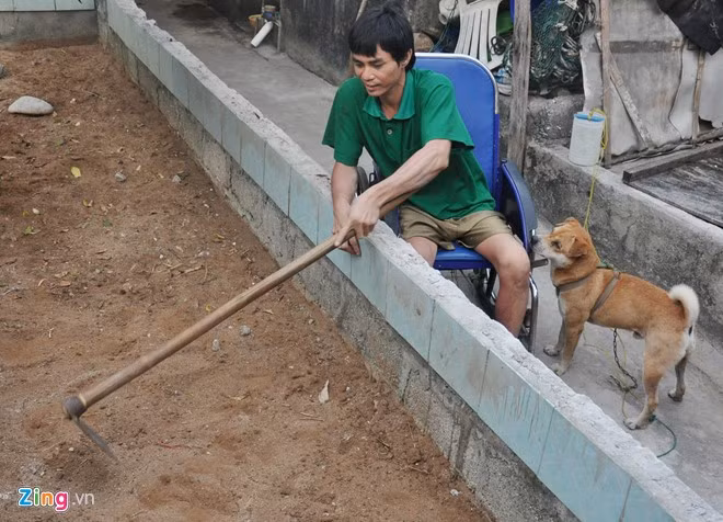 "Đến tham quan du lịch đảo Bé Lý Sơn, tôi thật sự xúc động về tấm gương sống giàu nghị lực của anh Bùi Huệ. Dù đôi chân bị tật, nhưng trong suốt buổi đưa khách tham quan hòn đảo xinh đẹp này, lúc nào anh cũng kể cho tôi nghe nhiều câu chuyện thú vị, lạc quan yêu đời. Chàng trai này đã mang đến cho tôi bản lĩnh vươn lên trong cuộc sống thật đáng trân trọng", chị Ánh (du khách đến từ Bắc Giang) bộc bạch.