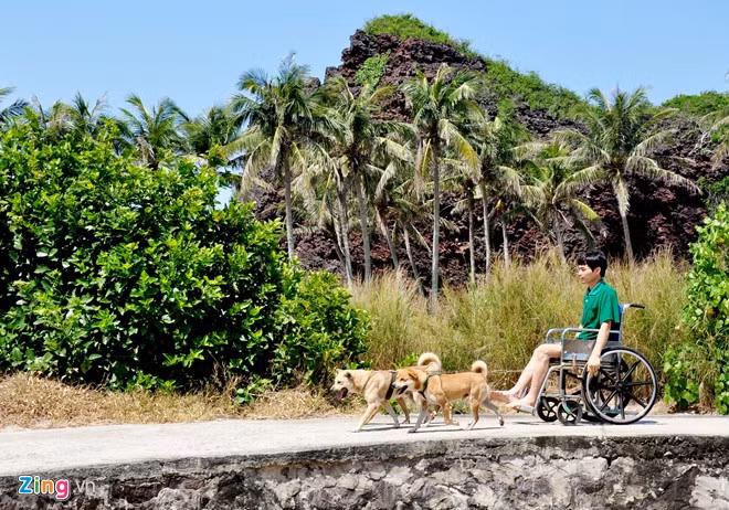 Sinh năm 1976, từ khi 16 tuổi, ngư dân Bùi Văn Huệ (ngụ xã đảo An Bình, huyện đảo Lý Sơn) cùng thanh niên làng chài ra vùng biển Hoàng Sa, Trường Sa đánh bắt cá. Năm 2003, trong một lần lặn bắt thủy sản gần đảo Trường Sa Lớn, chàng trai trẻ gặp nạn, dẫn đến teo cơ, liệt hai chân. Sau hai năm sống trong tuyệt vọng, tình cờ anh xem tivi thấy những chú chó kéo xe trượt tuyết.