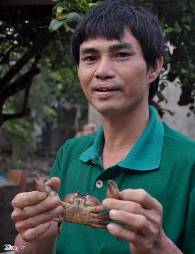 Không chỉ làm hướng dẫn viên đưa khách du lịch tham quan, Huệ còn nuôi cua dẹt sống dưới vách đá trầm tích núi lửa, giới thiệu đặc sản độc đáo xứ đảo đến với du khách.