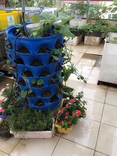 Tháp trồng rau vây quanh những chậu hoa xinh đẹp.