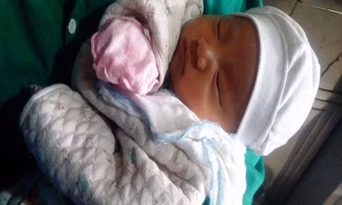 Vua xot vua phan nguoi me bo con vi yeu 