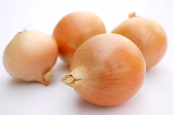 Các hợp chất có trong hành tây như phenol, flavonoids và quercetin đã được chứng minh để sở hữu các đặc tính chống viêm, chống virus và chống ôxy hóa. Vì vậy, nước ép hành tây là một phương thuốc phổ biến trong việc chữa viêm họng. 