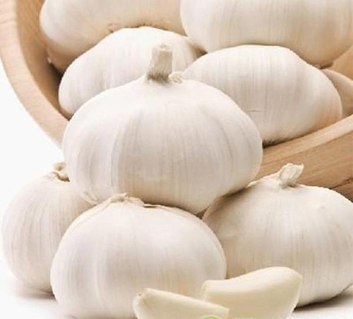 Tỏi: Lấy một tép tỏi tươi, cắt thành hai nửa, đưa vào hai bên má và hít dần nước, hương của chúng vào họng.