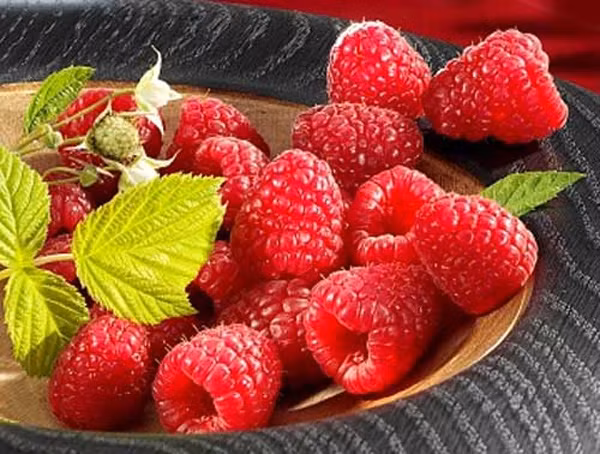 Quả mâm xôi: Sử dụng nước ép quả mâm xôi để súc miệng cũng giúp khử trùng rất tốt. Chúng chứa một lượng lớn Vitamin C giúp chống lại nhiễm trùng. 