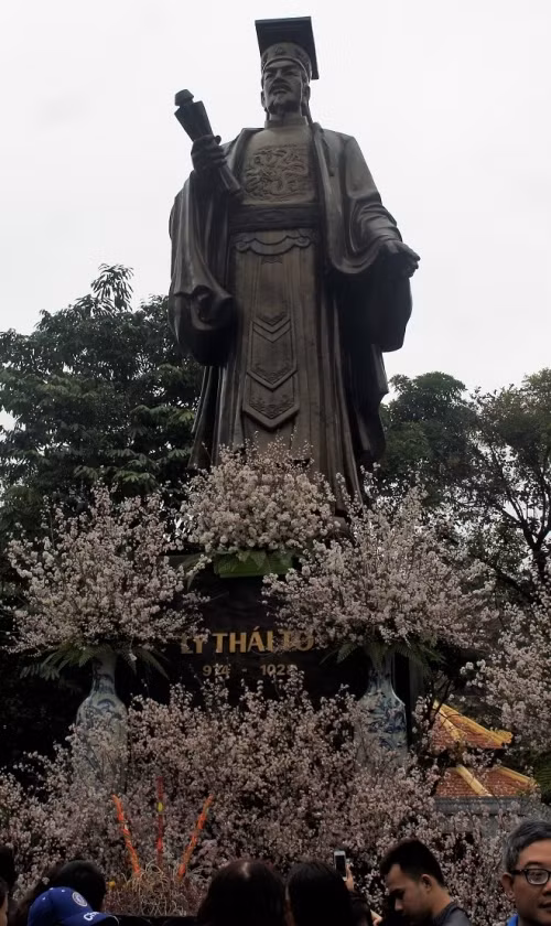 Tiết trời Hà Nội âm u khiến màu phớt hồng của hoa anh đào kém nổi bật.