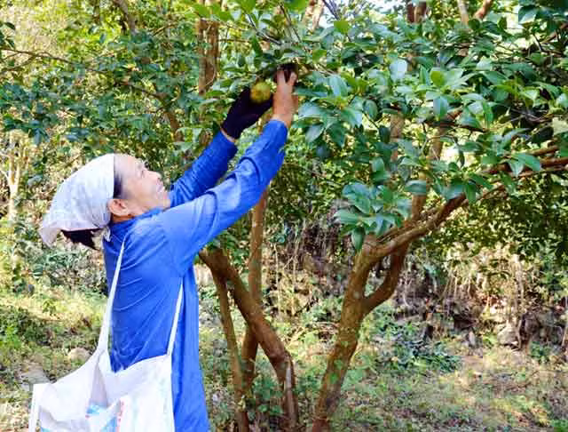 Dan Dong Tam dong long xay dung moi que huong