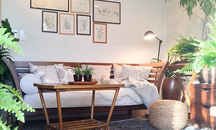 Can nha nho xiu xanh mat bong cay cua chang doc than