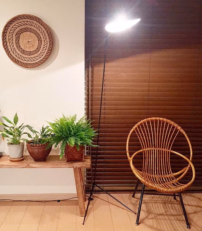 Mỗi một góc nhỏ đều không thể thiếu bóng dáng cây xanh.