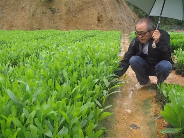 Nguoi “rot” ca chuc ty trong 500ha rung