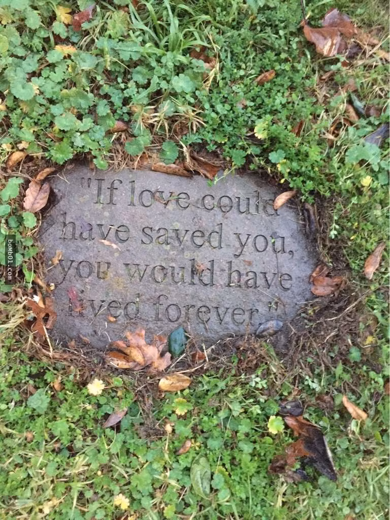 9. Nếu tình yêu có thể cứu em, em sẽ sống mãi bên mọi người.