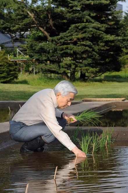 Cuoc song giau chat tho cua Nha vua va Hoang hau Nhat Ban-Hinh-2