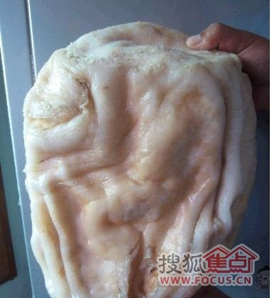 Loại nấm quý này có nhiều hình dáng khác nhau, nhưng điểm chung là đắt và được cho là có nhiều công dụng với sức khỏe.