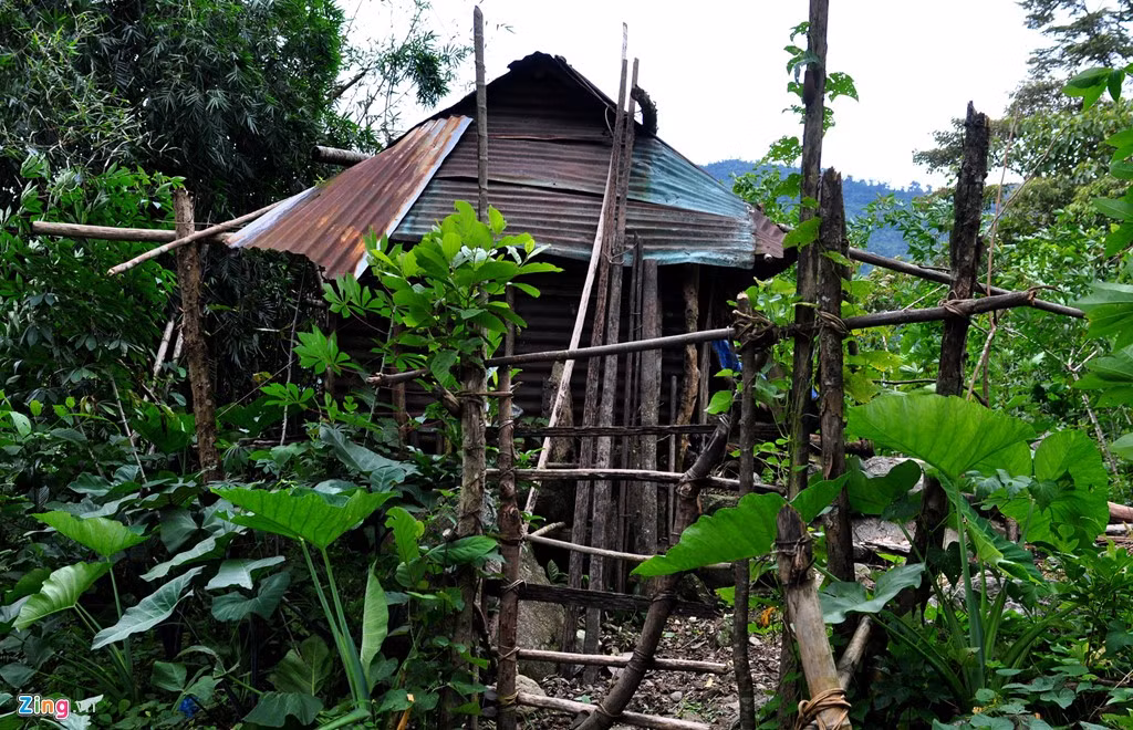 Căn chòi sụp xệ của ông Châu nằm giữa rừng sâu ở thôn Tang, xã Trà Bùi. Theo người dân địa phương, 20 năm trước, người đàn ông này rời làng vào rừng dựng chòi sinh sống mãi cho đến nay.