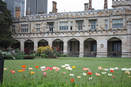 Một góc phía ngoài Vườn hồng Hoàng cung .