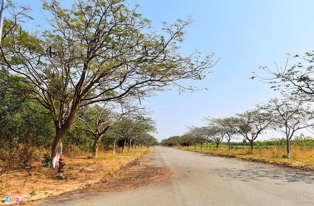 Khu đô thị này được coi là điểm sáng về đô thị mới trong việc đón đầu thực hiện quy hoạch thành phố mới Nhơn Trạch khi được chủ đầu tư nhanh chóng triển khai thi công nhiều hạng mục hạ tầng như đường nội bộ, hệ thống thoát nước, điện, cáp viễn thông… cùng với đó là các khu biệt thự sang trọng, nhà liền kề có kiến trúc hiện đại được xây dựng.