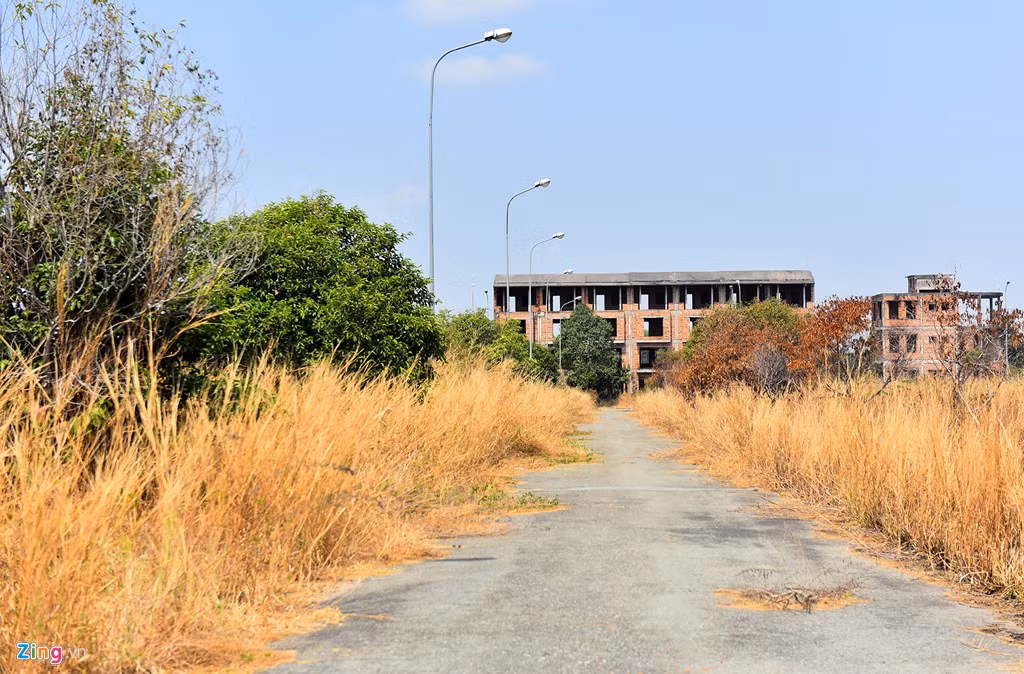 Nằm trên đường chính cũng thuộc dự án khu đô thị mới Long Thọ - Phước An là những dãy nhà hai tầng đang trong quá trình xây thô, dừng thi công nhiều năm. Thời tiết đang vào mùa khô, những lùm cỏ hai bên các con đường trong khu đô thị chết khô khiến nơi đây trở nên hoang hóa.