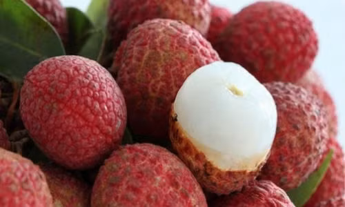 Những người này tự hại bản thân mình vì ăn vải Nhung nguoi nay tu hai ban than minh vi an vai