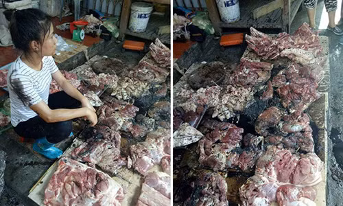 Quy luat cho bua dang sau hang thit lon bi tat dau luyn