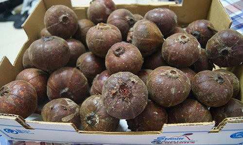 "Sung khổng lồ" đang được rao bán trên mạng với giá 60.000 đồng/kg.