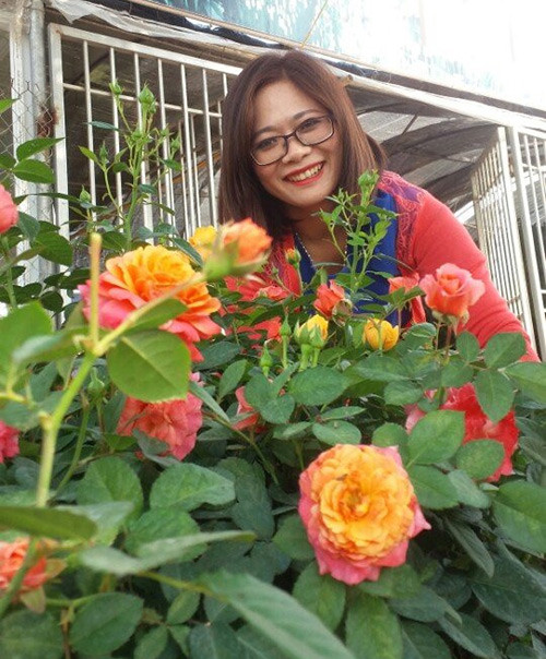 Thiên đường hoa hồng ngoại Ngồi trên ghế giảng đường Học viện, chị Thu Hằng đã tham gia nhiều đề tài nghiên cứu khoa học về cây và hoa đào. Khi tốt nghiệp và làm luận văn thạc sĩ, chị cũng chọn giống hoa đào Việt Nam để nghiên cứu và phản biện. Từ đó, niềm đam mê với hoa lớn dần trong chị. Năm 2014, chị được người bạn đem một số giống hoa hồng ngoại dòng David Austin (hoa hồng nước Anh) đến nhờ theo dõi, đánh giá khả năng thích nghi và sinh trưởng trong điều kiện khí hậu nhiệt đới. Chị kể: “Qua quá trình đánh giá, mình nhận thấy giống hoa hồng này có hình dáng rất đẹp, màu sắc đa dạng, hương thơm độc đáo. Đặc biệt, chúng nở hoa quanh năm với nhiều dạng cây như bụi, leo... Hơn nữa, chúng thích nghi tốt với khí hậu của nước ta. Do đó, mình quyết định đặt mua và nhân giống rộng tại khu vườn thiên đường hoa ngoại ô Hà thành”.