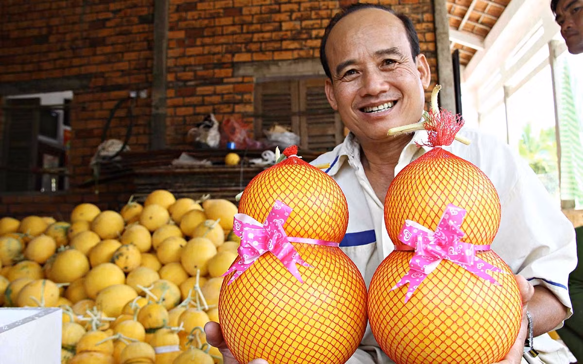 Được biết, mỗi cặp dưa hấu hồ lô được bán tại vườn với giá 500.000 đồng.