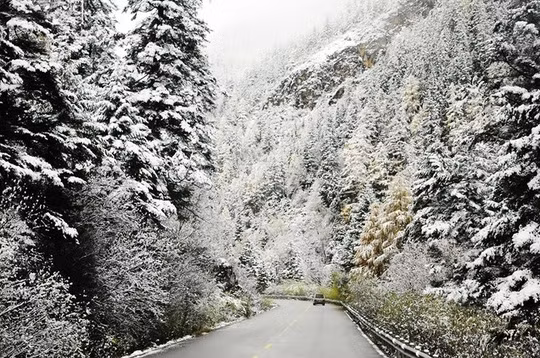 Và lúc Giáng Sinh về lại khiến người ta ngỡ như lạc bước trời Âu - Ảnh: Sưu tầm