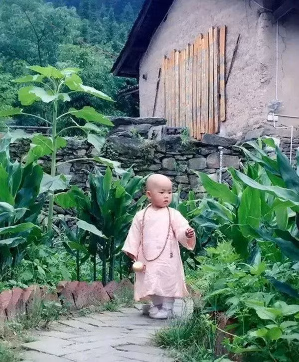 Từ khi sinh ra, Tiểu Nghệ Mặc đã sống trên núi. Ngoài bố mẹ, cô bé rất ít khi tiếp xúc với người khác.