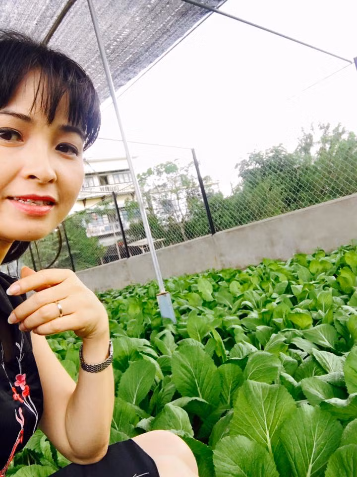 Giọng ca đất mỏ Quảng Ninh chia sẻ khu vườn rau sạch này là phần công sức của nhân viên là nhiều. Đầu tiên, mọi người mua đất màu về đổ lên trên để cải thiện phần đất cũ vốn không phù hợp và đủ chất dinh dưỡng để trồng rau. Lớp đất trồng sâu khoảng 30 đến 50 cm là phù hợp. Sau đó, mua thêm phân bò, phân hữu cơ về bón. Sau mỗi đợt rau thu hoạch cần phải xới hết đất lên phơi nắng rồi lại bón thêm phân vào đất để tạo đất mới rồi mới trồng tiếp. Khi trồng rau, công đoạn làm đất là quan trọng nhất vì nếu không, rau trồng lên sẽ khó mọc, dễ chết.