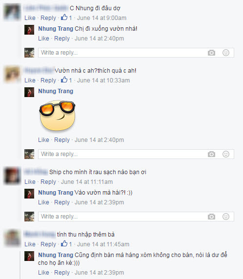 Bạn bè và người hâm mộ thích thú trước khu vườn rau sạch của gia đình Trang Nhung.