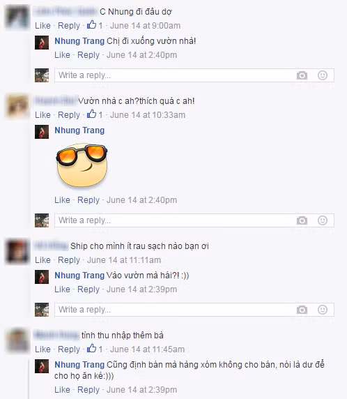 Bạn bè và người hâm mộ thích thú trước khu vườn rau sạch của gia đình Trang Nhung.