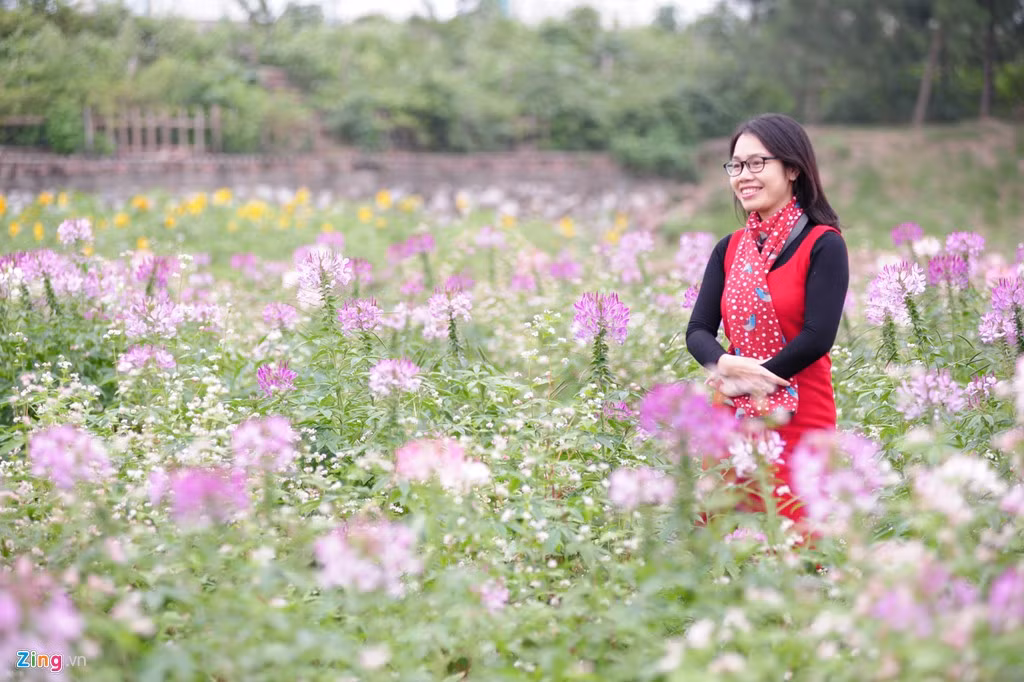 Sau một tuần đóng cửa để cải tạo, chăm sóc, thung lũng hoa hồ Tây (Hà Nội) đã mở cửa trở lại vào cuối tuần qua thu hút khoảng 200-300 bạn trẻ đến vào ngày thường và gần 1.000 người vào cuối tuần.