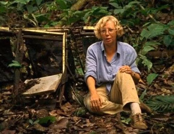 Nhung ky tich song sot sau tham hoa phi thuong cua con nguoi(ca truc)-Hinh-3