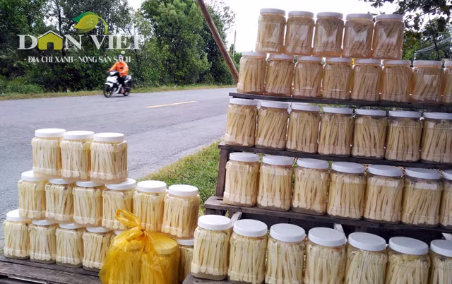 Còn dưa bồn bồn thì được bán với giá từ 45.000-50.000 đồng/kg