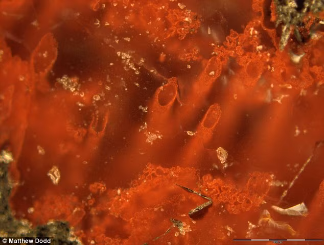 Su song co xua nhat Trai dat tiet lo bi mat sao Hoa?