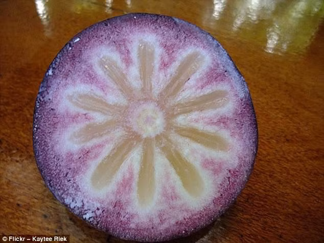 Một du khách chia sẻ hình ảnh quả vú sữa và bình luận rằng loại quả này có vị thật kỳ lạ.