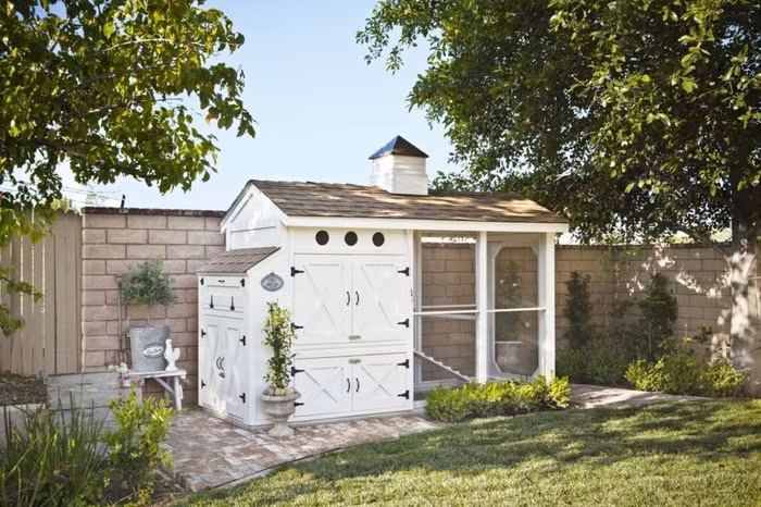  Chuồng gà được đặt ở góc sân và được trang bị hệ thống xả nước sạch để họ có thể vệ sinh chuồng gà một cách dễ dàng.